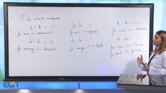 Elit Görüntülü Fransızca Eğitim Seti - fransızca öğrenmek