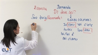 Elit Görüntülü İtalyanca Eğitim Seti - italyanca öğrenmek